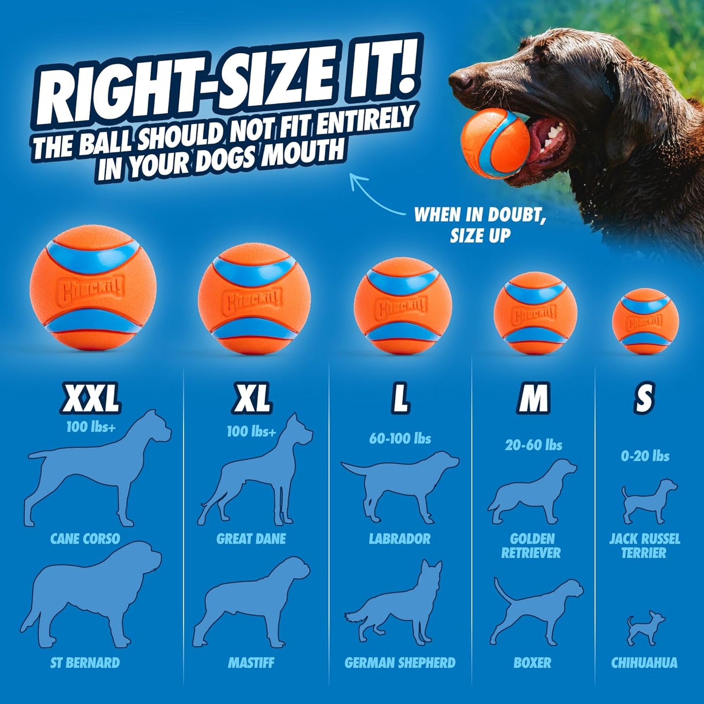 Large dog toy designed for fetch and exercise