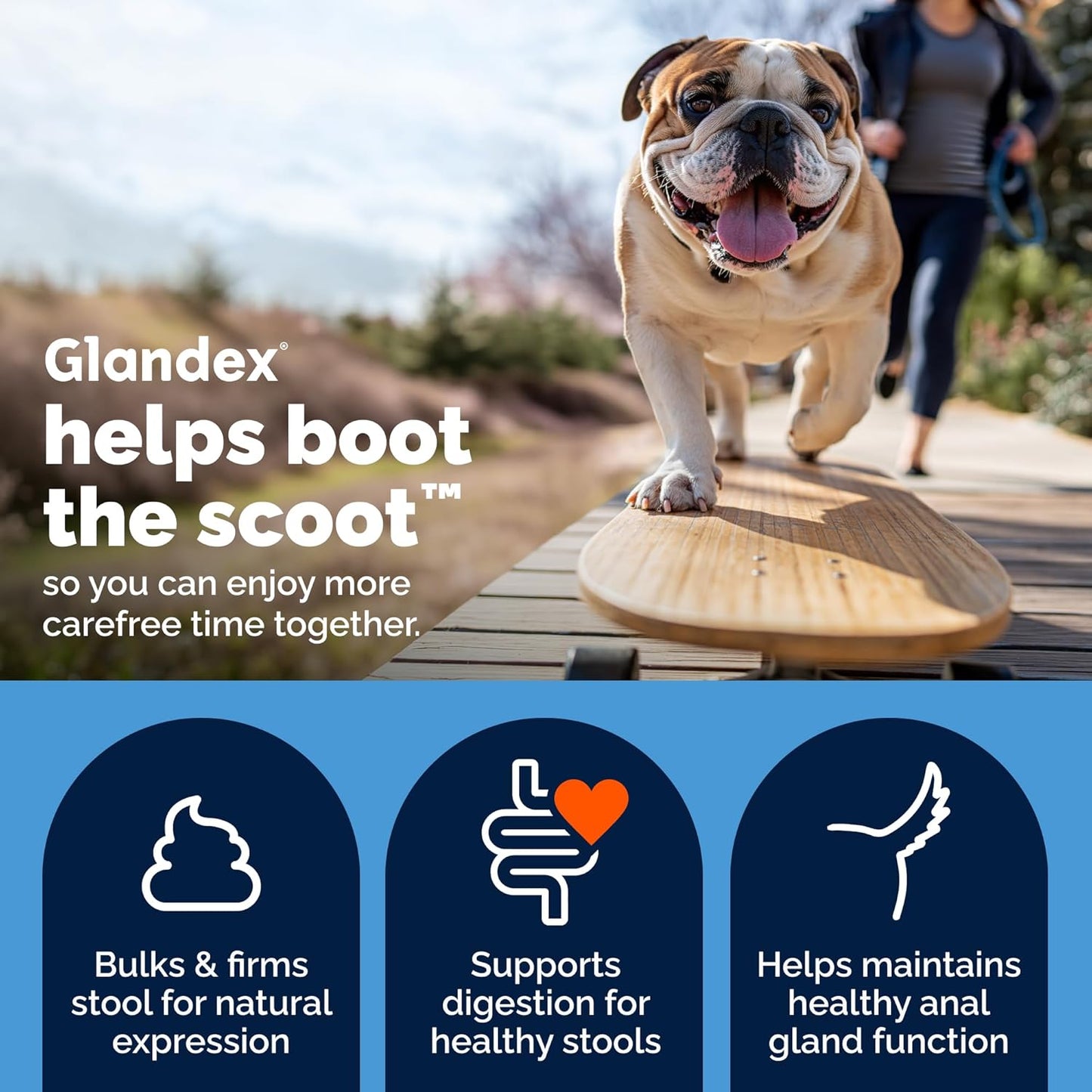 Vetnique Glandex Anal Gland Soft Chews Dogs Fiber Probiotics 60 Count