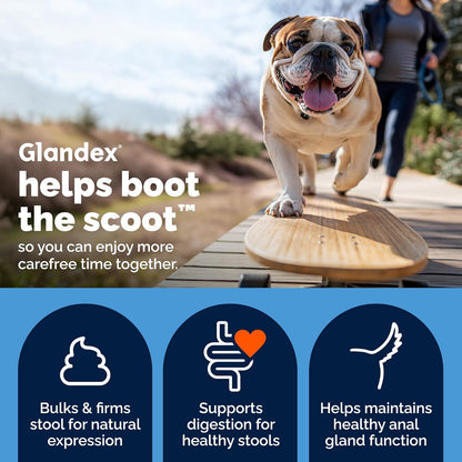 Vetnique Glandex Anal Gland Soft Chews Dogs Fiber Probiotics 60 Count