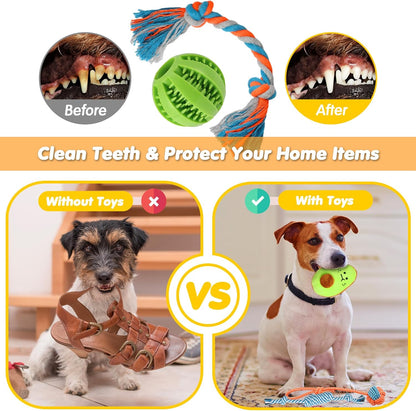 Puppy Play & Chew Toy Bundle – 25 Piece Set