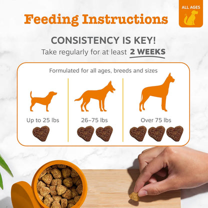 Zesty Paws Allergy Immune Bites for Dogs Itchy Skin Ear Support 90 Chews