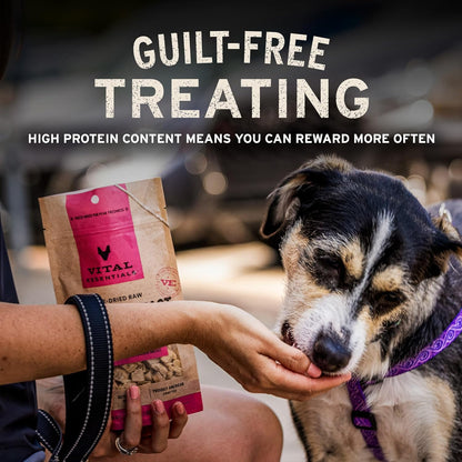 Healthy pet wellness treats with 100% beef liver