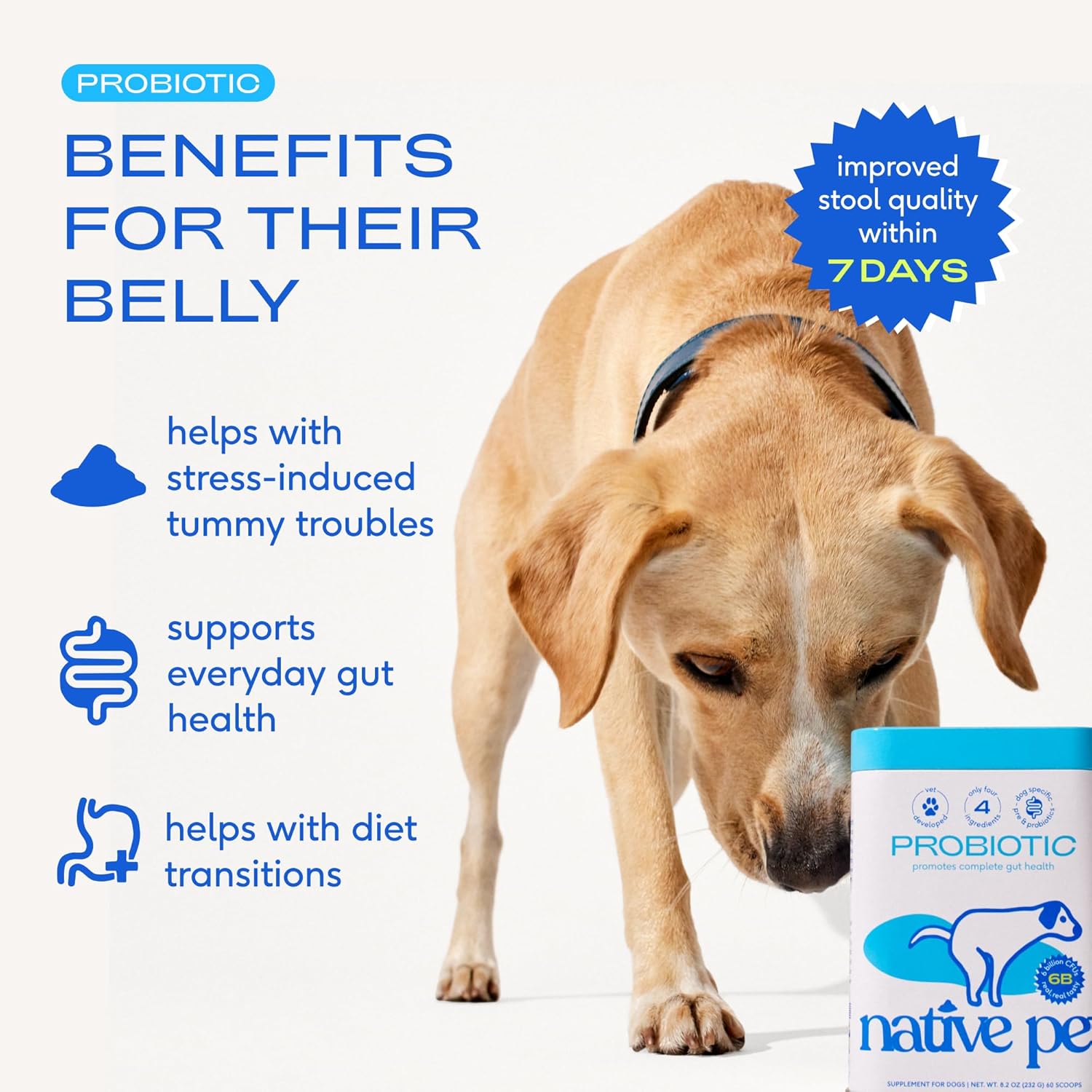 Gut health supplement powder for dogs