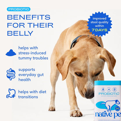 Gut health supplement powder for dogs