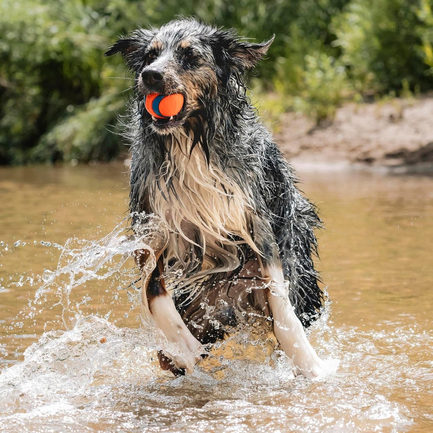 Floating rubber dog fetch ball for outdoor adventures