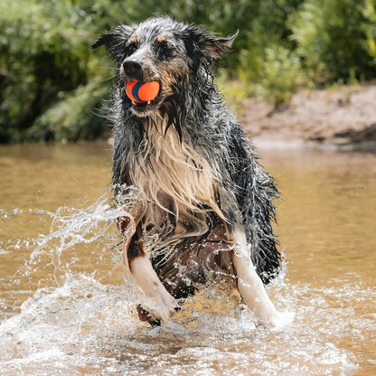 Floating rubber dog fetch ball for outdoor adventures
