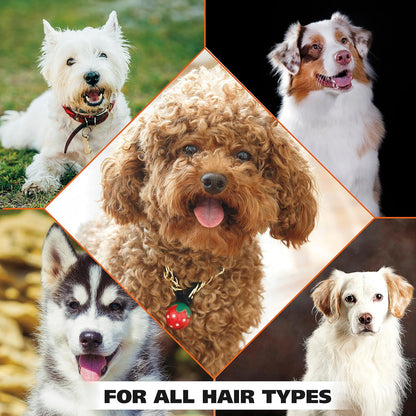 Wahl 4-in-1 Calming Dog Shampoo – Lavender Chamomile, 24 Oz