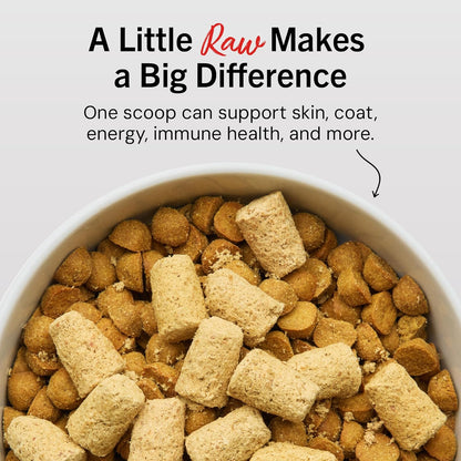 High-protein beef meal mixer for dogs