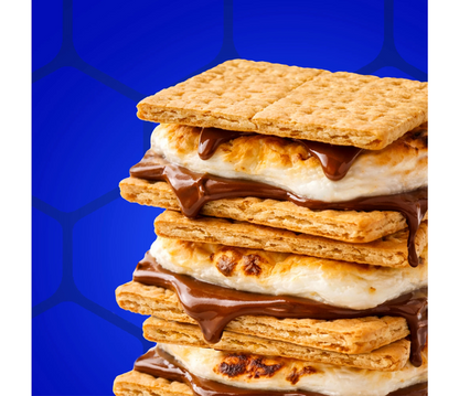 HONEY MAID Graham Crackers Honey Lunch Snacks Family Size 14.4 Oz Box